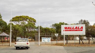 A vintage car driving past a sign for Mallala Motor Sport Park, with a fence and trees in the background.