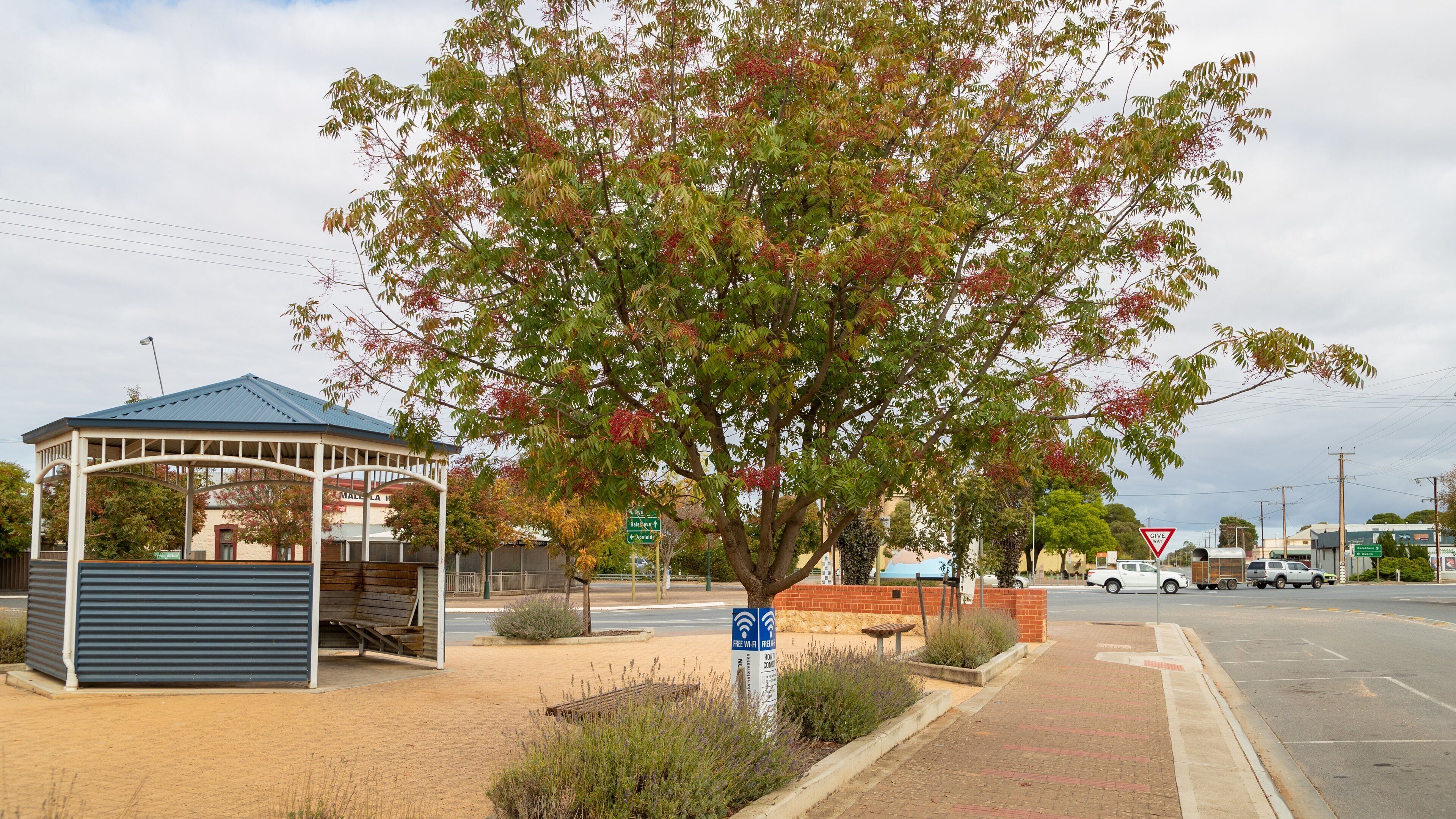 Mallala showing a small town or village