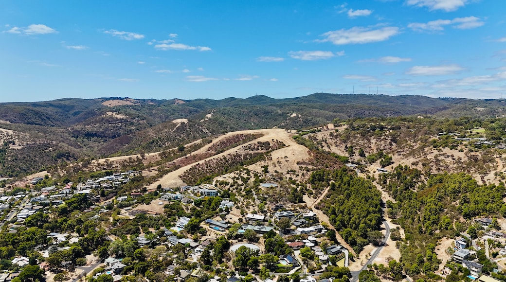 Wattle Park