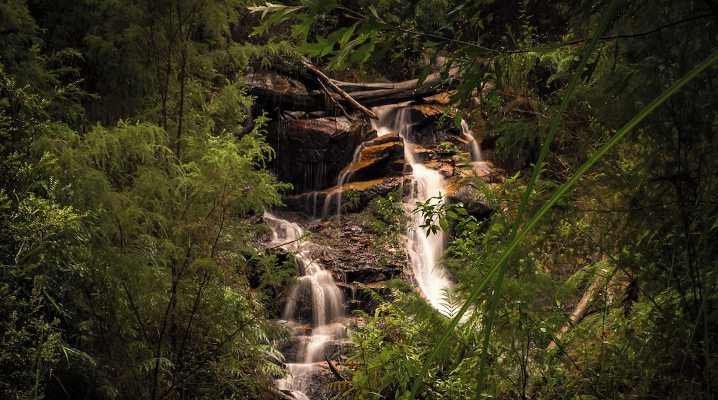Just make sure to turn onto Forest Road off Labertouche Road. Later the road turns gravel for about 7 kms with really bad pot holes (May 2017). And don't miss the sign for the 2km walk on the rhs on a corner. The path is easy going but with a small steep descent to the falls. There's not much room once down there! The road is closed mid June to November.