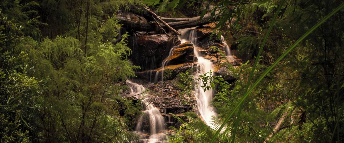 A waterfall cascading through a forested area with dense foliage and rocky terrain.