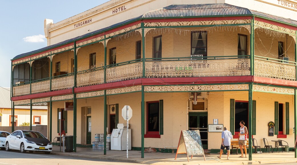 Tungamah featuring street scenes, a small town or village and heritage elements