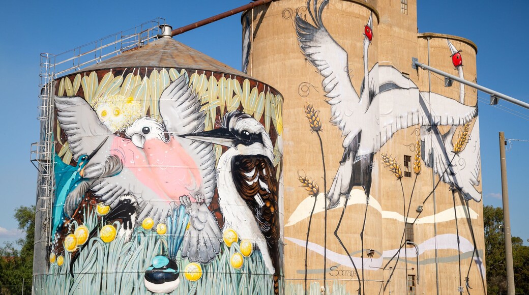 Tungamah which includes outdoor art