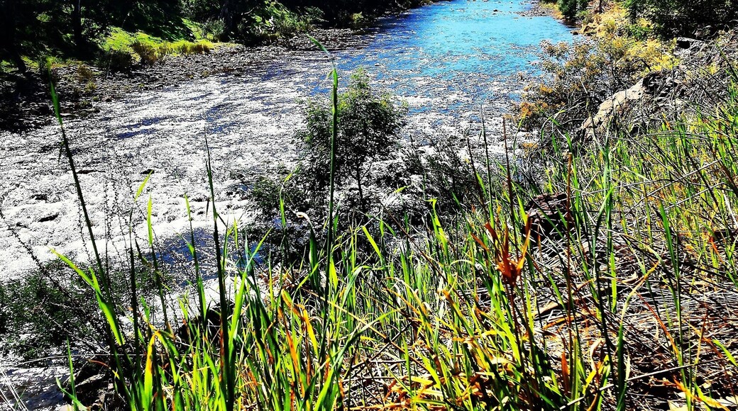 #Macalister #River above #Licola in the Macaliater #Valley #Gippsland #Australia
Check out our online story about #Licola at www.wyldfamilytravel.com