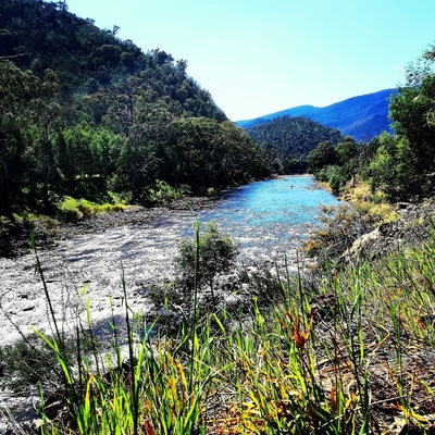 #Macalister #River above #Licola in the Macaliater #Valley #Gippsland #Australia
Check out our online story about #Licola at www.wyldfamilytravel.com