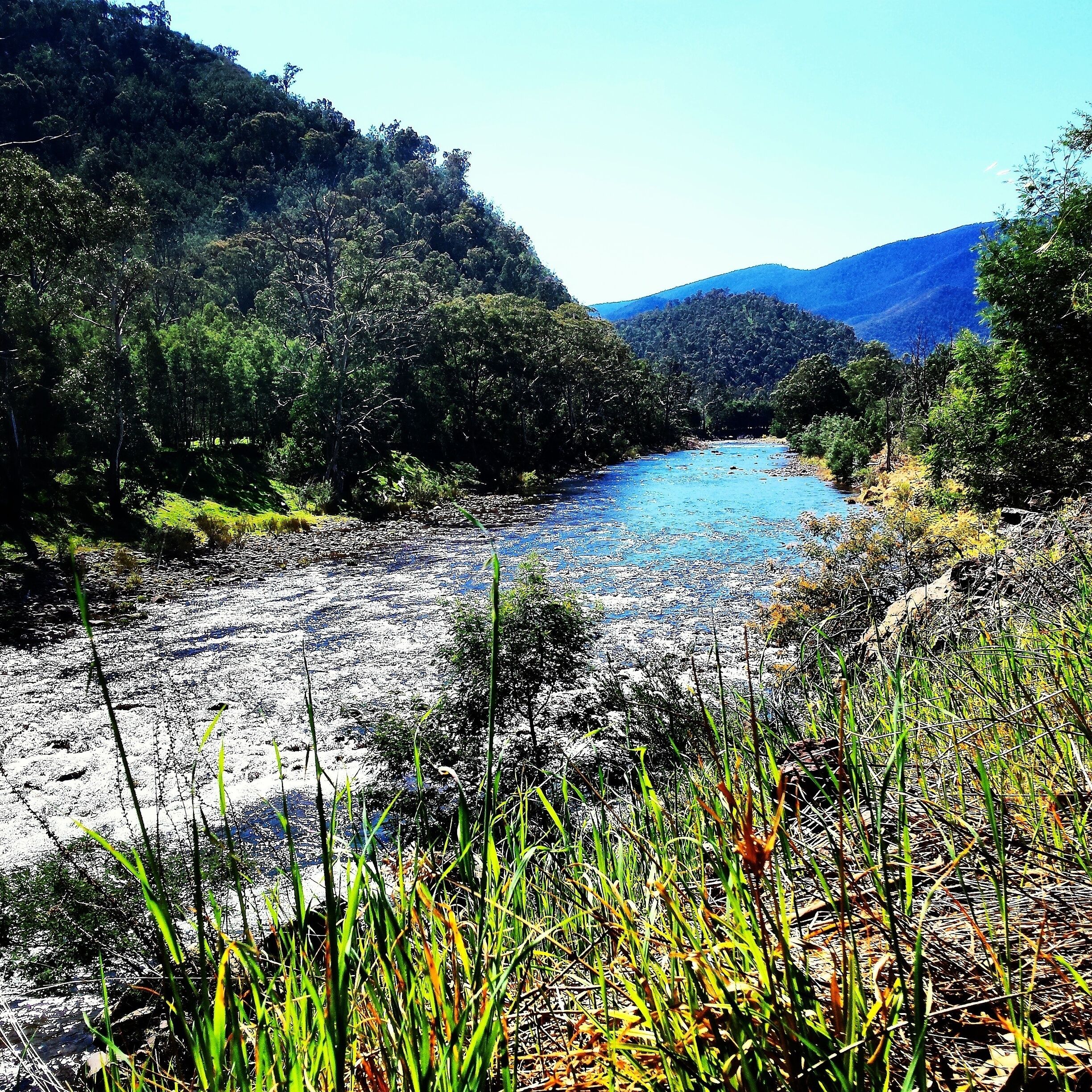 A river flowing through a forested valley with hills in the background.