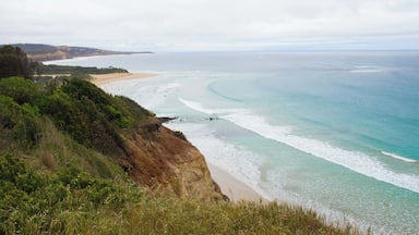 Great Ocean Road is a coastal route along the southern coast of Australia, ranging 243 kilometres between Torquay near Melbourne to Allansford. The scenery is crazy beautiful with rugged cliffs, vast beaches and majestic surf. Every now and then the road arches inland through lush temperate rainforest. You can spot numerous parrots, koalas and kangaroos along the way. Best way to experience the coastal drive is to spend at least 2 nights along the way (if you're returning to the starting point) to get to see everything that the surrounding area has to offer!