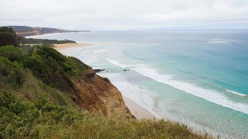Great Ocean Road is a coastal route along the southern coast of Australia, ranging 243 kilometres between Torquay near Melbourne to Allansford. The scenery is crazy beautiful with rugged cliffs, vast beaches and majestic surf. Every now and then the road arches inland through lush temperate rainforest. You can spot numerous parrots, koalas and kangaroos along the way. Best way to experience the coastal drive is to spend at least 2 nights along the way (if you're returning to the starting point) to get to see everything that the surrounding area has to offer!