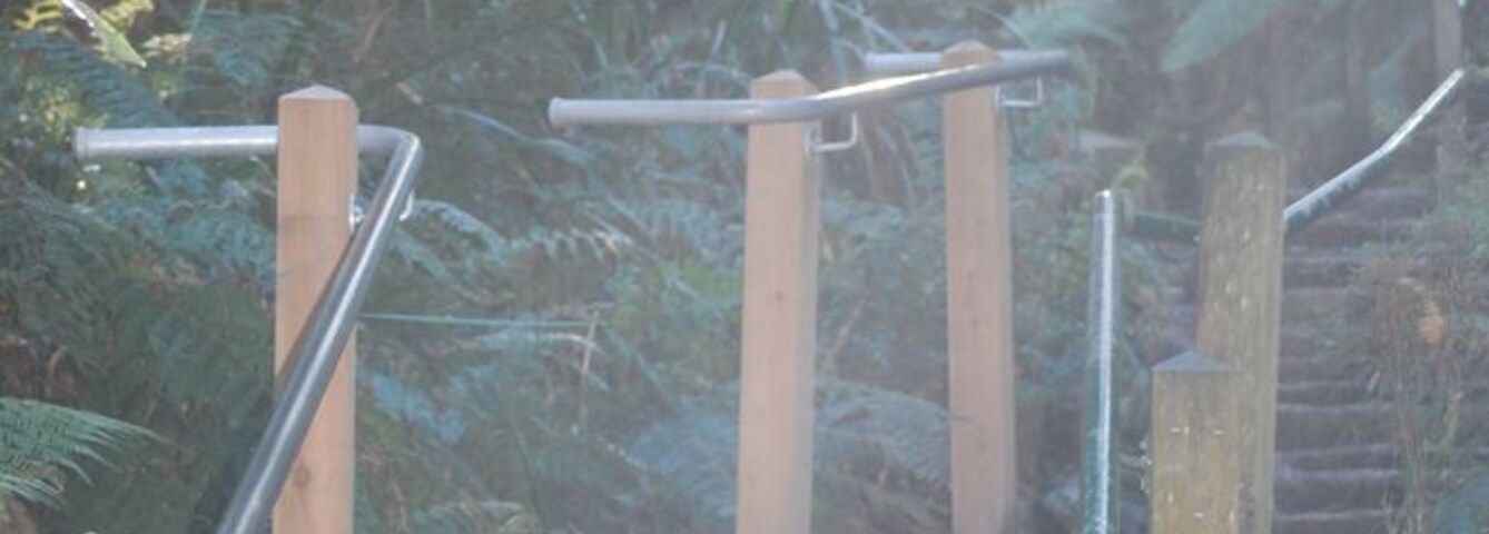 1000 steps is a popular walk in the Dandenongs. Along the way there is plaques showing the story behind the Kokoda trail.
It is a very steep walk and can be quite busy. It is also a very beautiful place to explore #localgem