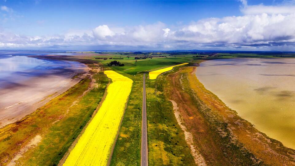 A vast landscape with a prominent yellow field, a body of water, and a cloudy sky.
