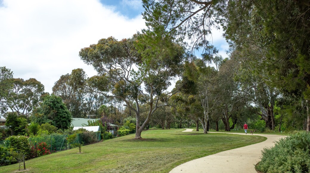 A park with a winding path, trees, and a building in the background.