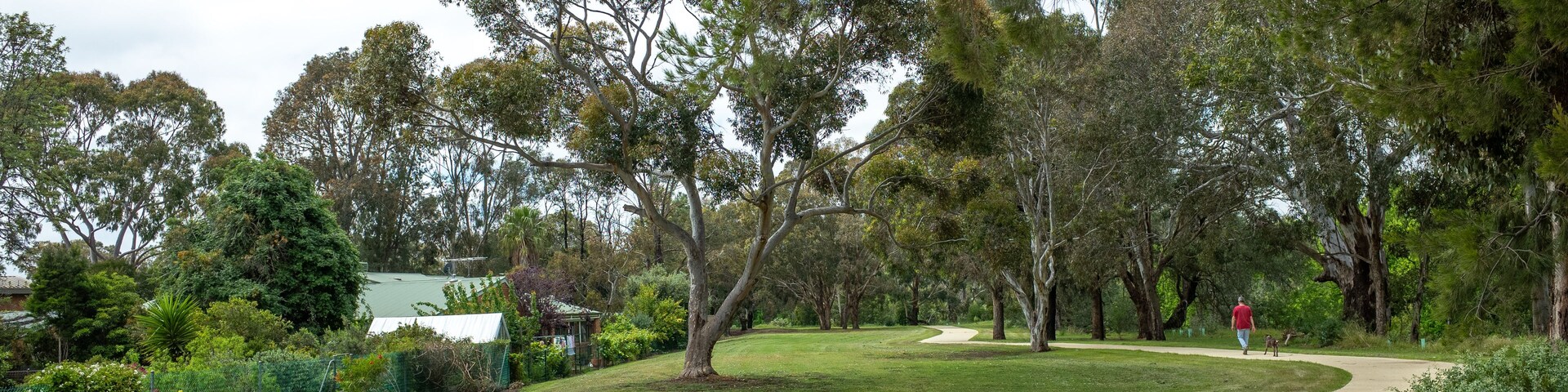 Un parque con un sendero sinuoso, árboles y un edificio al fondo.