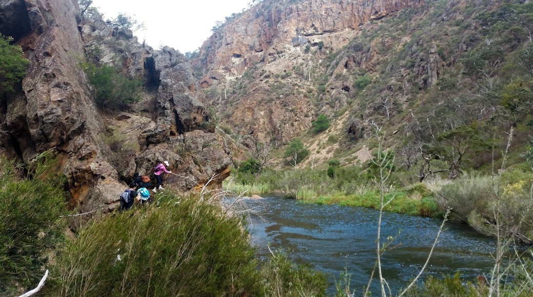 A great place just outside of Melbourne to go for a hike, lots of trails available from what I've been told but I went on the 10k circuit track and it was beautiful.
There where a couple of steep hills to climb resulting in some nice views, then you head down along the river which I found really peaceful. A couple of areas along the track there are some nice places to sit down and enjoy the scenery as well.