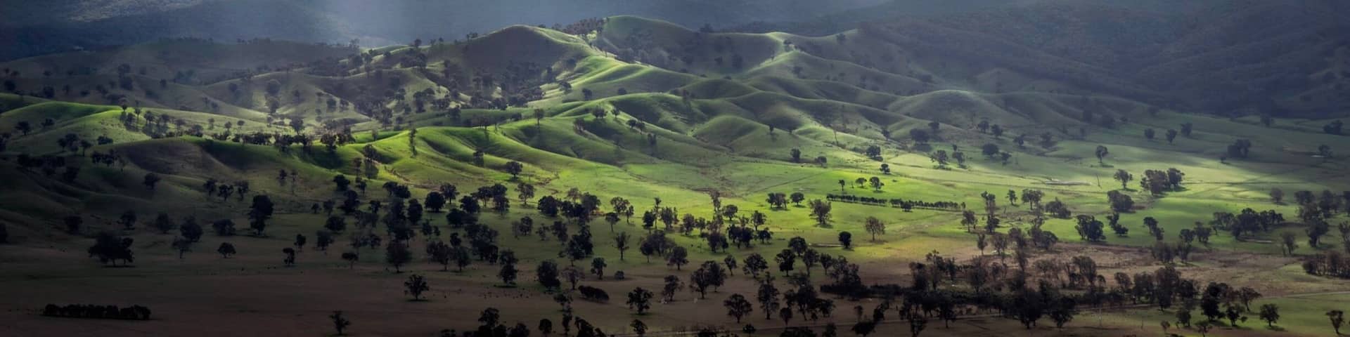 Located 12kms from Mansfield, The Paps lookout is accessed through some private farmland, just remember to shut the gates! Keep left at all the intersections of the 4WD only track (we did it on dual sport motorcycles with no issues) and you will be rewarded with a magnificent 360 degree view of the surrounding farmland.