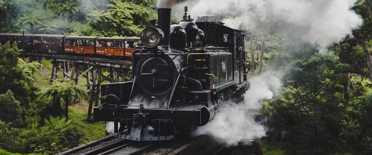 A steam locomotive emitting smoke, traveling on a railway track surrounded by dense forest.