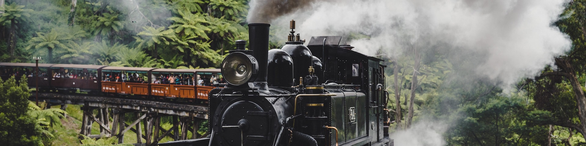 Eine Dampflokomotive stößt Rauch aus und fährt auf Schienen durch einen dichten Wald.