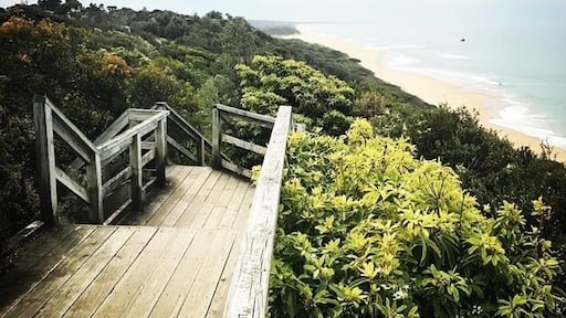 Pathway to the beach #victoria #beach #country #rural #sand