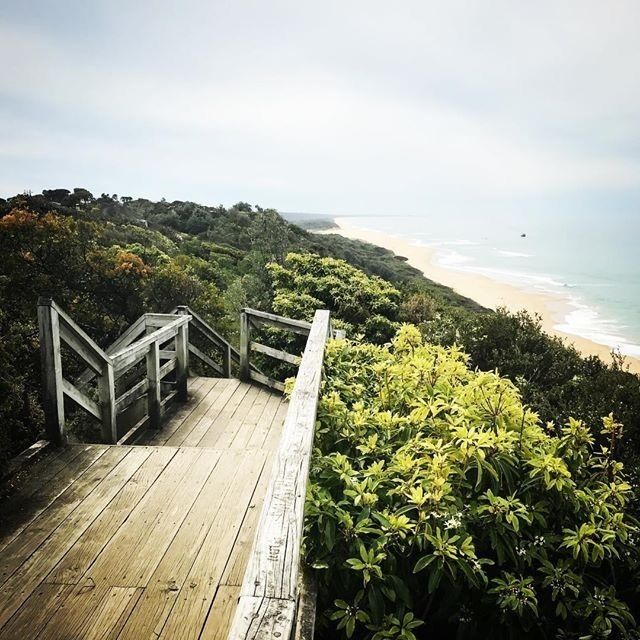 A wooden staircase leading to a beach with a view of the ocean and a forested hillside.