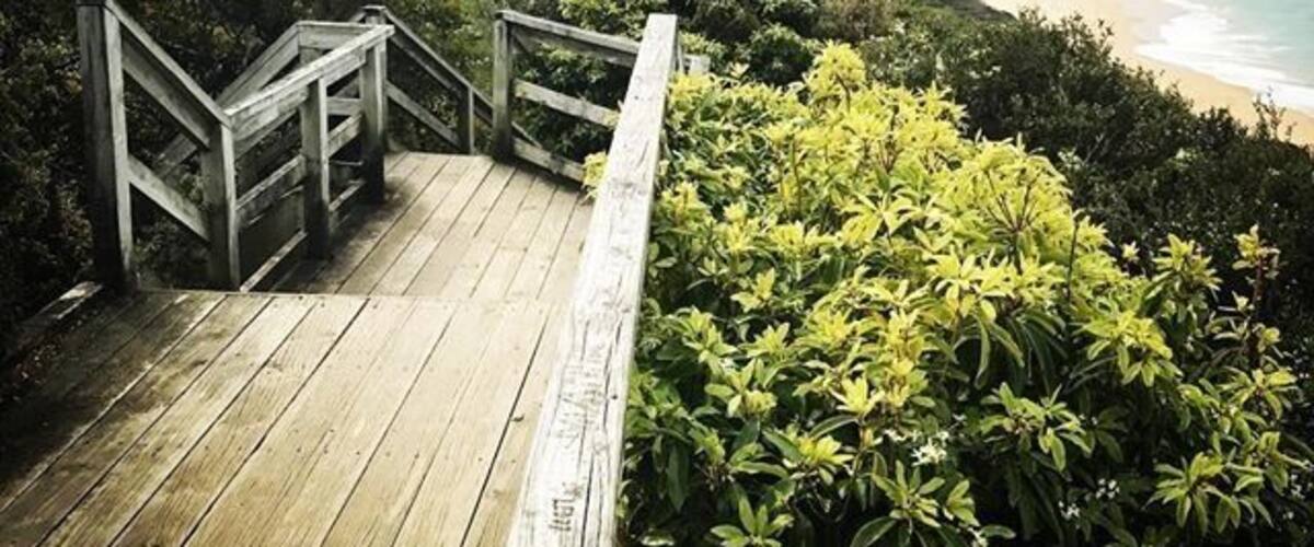 A wooden staircase leading to a beach with a view of the ocean and a forested hillside.