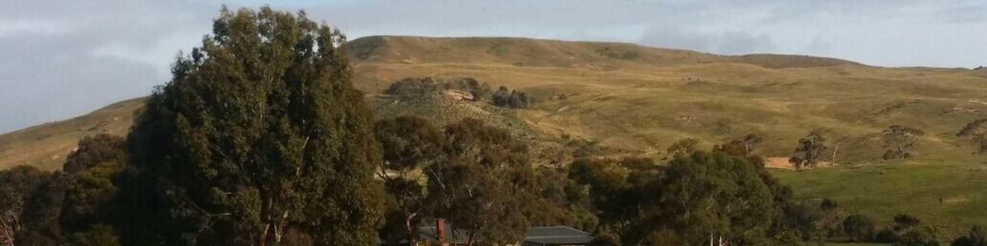 Mount Wallace is one of Moorabool Shire's little known gems. Travel south from Bacchus Marsh towards Rowsley and then west along Glenmore Road to see a pretty green valley surrounded by green hills and craggy outcrops. Then climb the hairpin bends at Mount Wallace. At the junction with the Geelong - Ballan Road turn right for an enjoyable cup of tea in Ballan (priced $1 at 'Opportunities on Inglis' op shop).