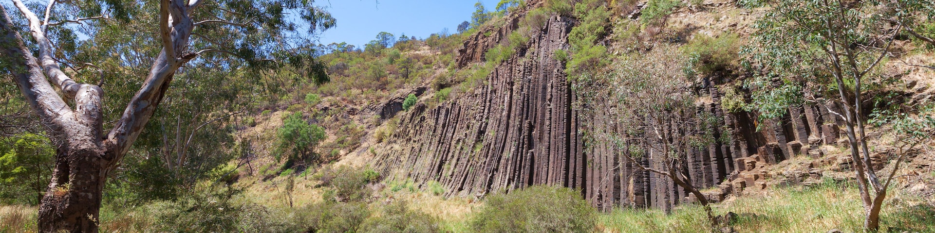 A river with surrounding vegetation and a rocky cliff.
