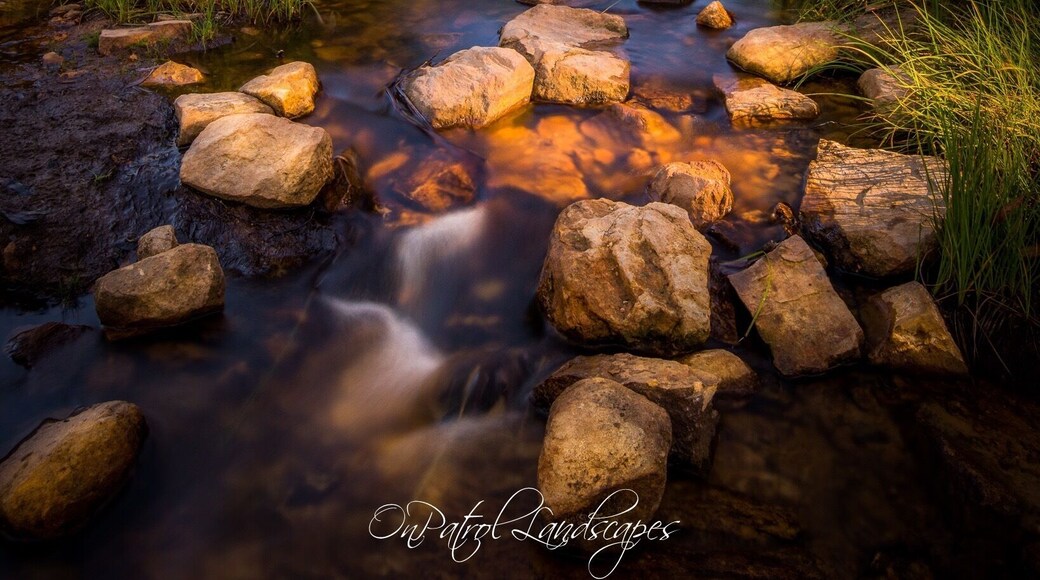 The way the patchy afternoon sun filtered through the trees and lit up the foreground was enough for me to get the camera out and capture this angle - the colours were so vibrant!