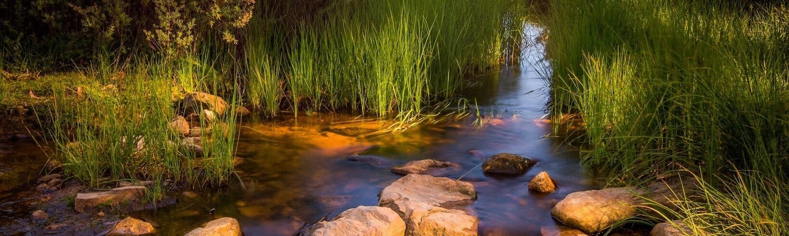 The way the patchy afternoon sun filtered through the trees and lit up the foreground was enough for me to get the camera out and capture this angle - the colours were so vibrant!