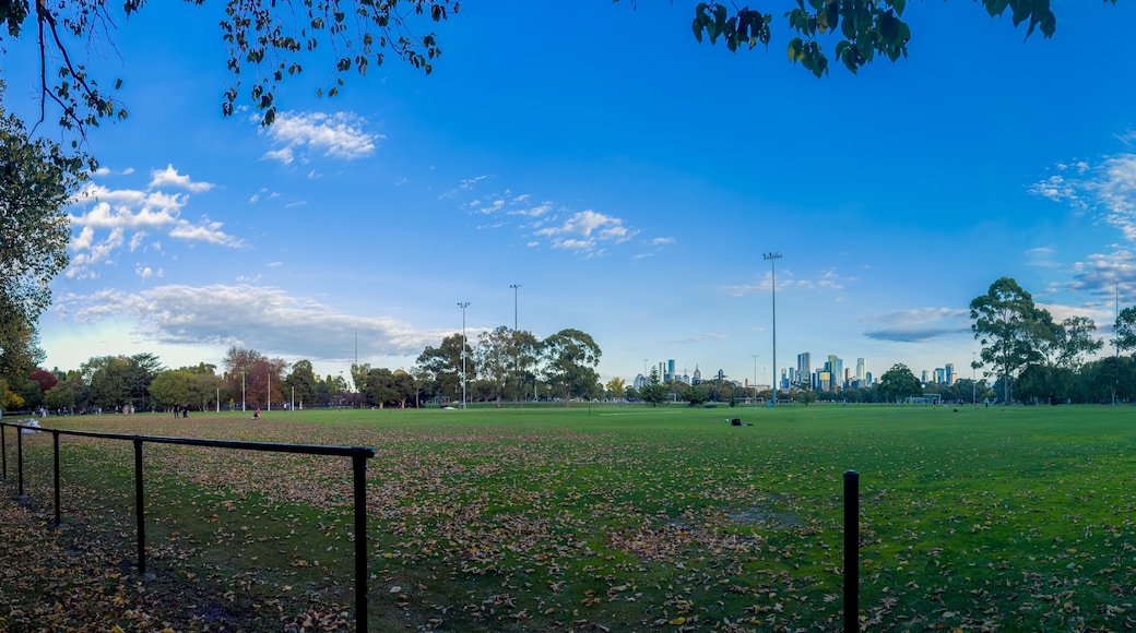 A park with a large open field, trees, and a city skyline in the background.