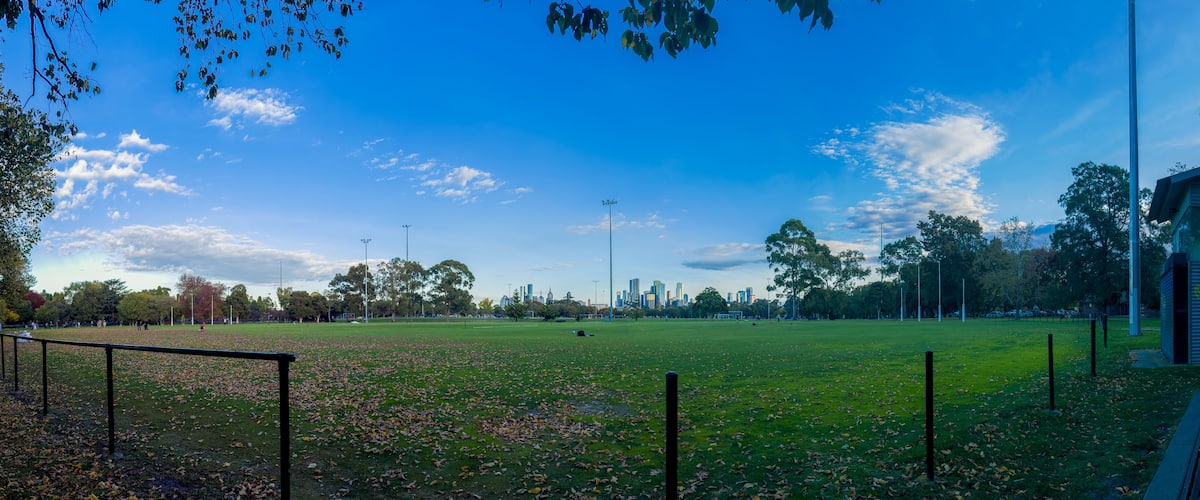 A park with a large open field, trees, and a city skyline in the background.