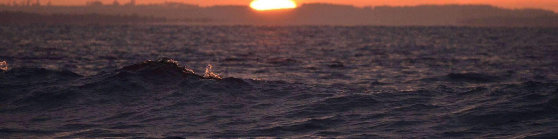 A father - son weekend away to this almost remote little town. The view is sensational. Good for the surfing variety of human and a fantastic camping playground.