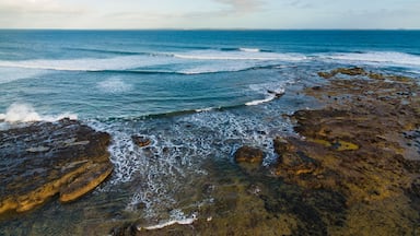 Um litoral rochoso com ondas quebrando na costa sob um céu claro.