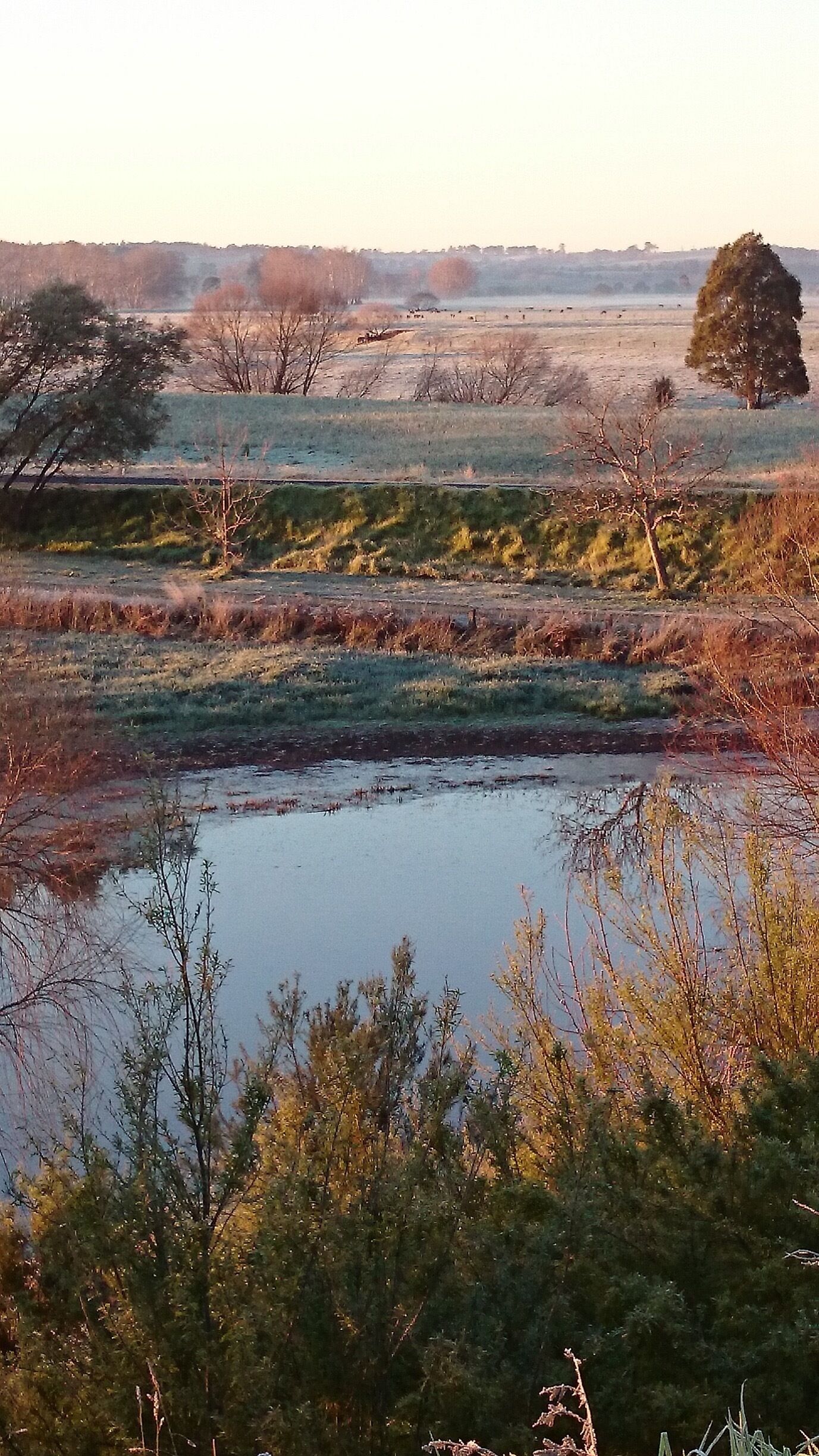 Just near home on a frosty morning

#localgem