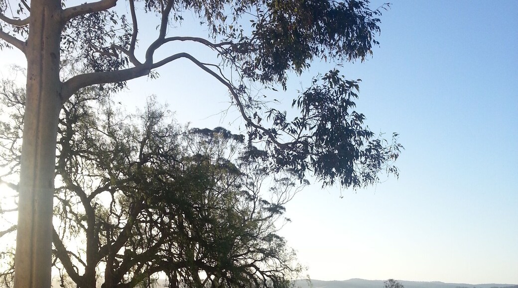 Sunset over the Tambo river, a beautiful place to live.
#localgem