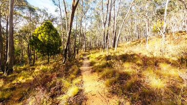 Lerderderg Heritage River Walk in Melbourne Australia