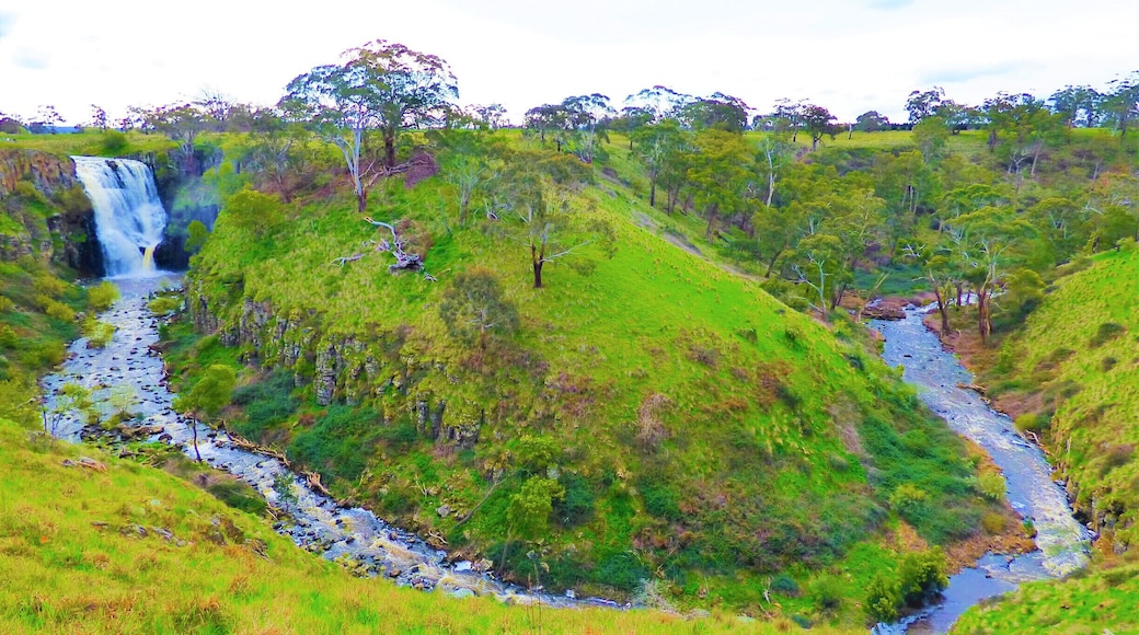 Lal Lal Falls
#waterfalls
#river
#mountains
#waterfall
#green
#wildflora
#trees
#landscape
#negativespace