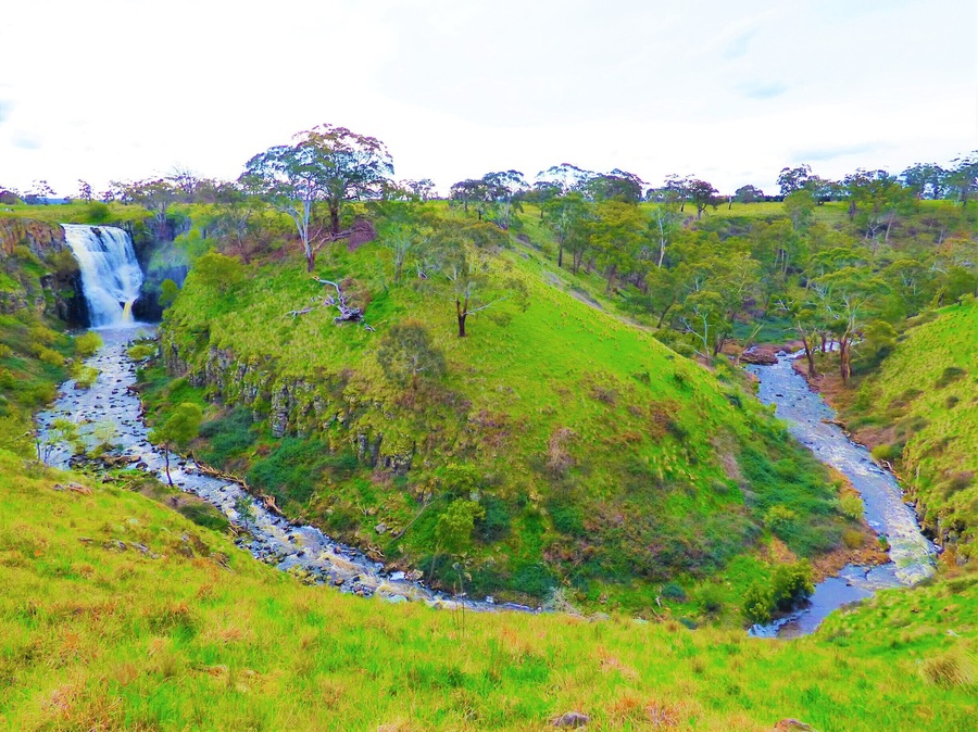 Lal Lal Falls
#waterfalls
#river
#mountains
#waterfall
#green
#wildflora
#trees
#landscape
#negativespace