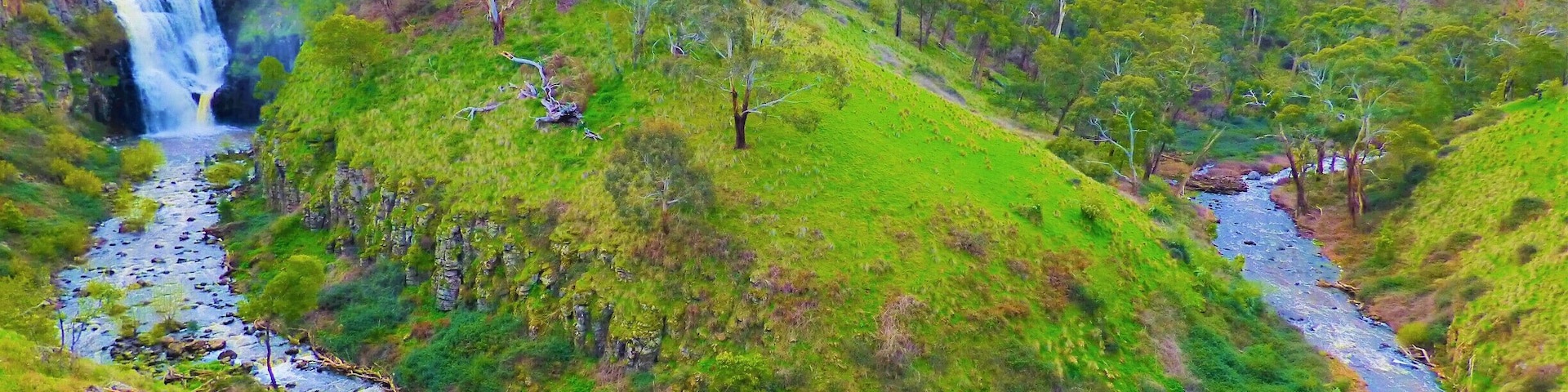 Lal Lal Falls
#waterfalls
#river
#mountains
#waterfall
#green
#wildflora
#trees
#landscape
#negativespace