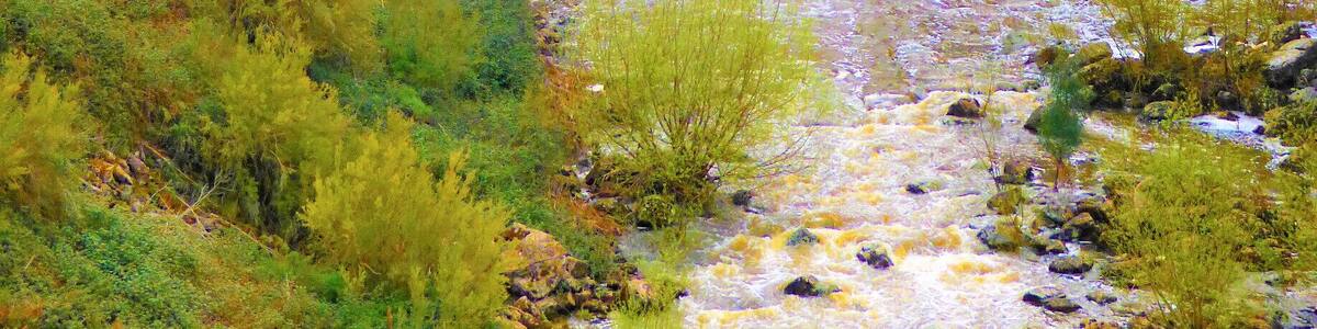 The Force!
#river flow
#waterfall
#waterfalls
#nature
#green