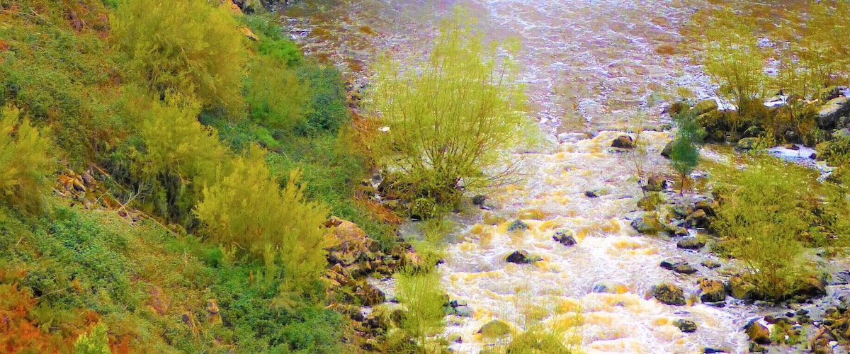 The Force!
#river flow
#waterfall
#waterfalls
#nature
#green