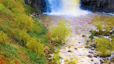 A waterfall cascading over rocky cliffs surrounded by lush greenery.