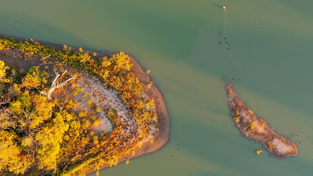 Aerial view of an island in the bend a river with gumtrees bathed in golden afternoon sunshine