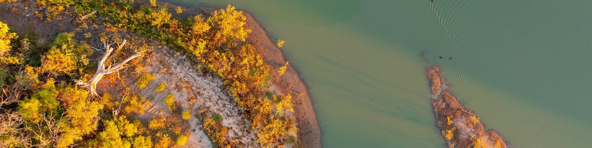 Aerial view of an island in the bend a river with gumtrees bathed in golden afternoon sunshine