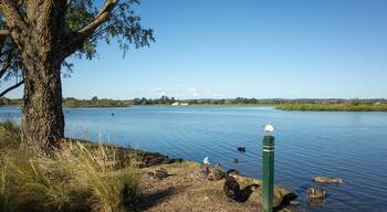 Lake Wendouree in Ballarat with a picturesque lakeside view, local wildlife and lush greenery. It is a popular tourist attraction and sightseeing spot in the regional town of Australia.