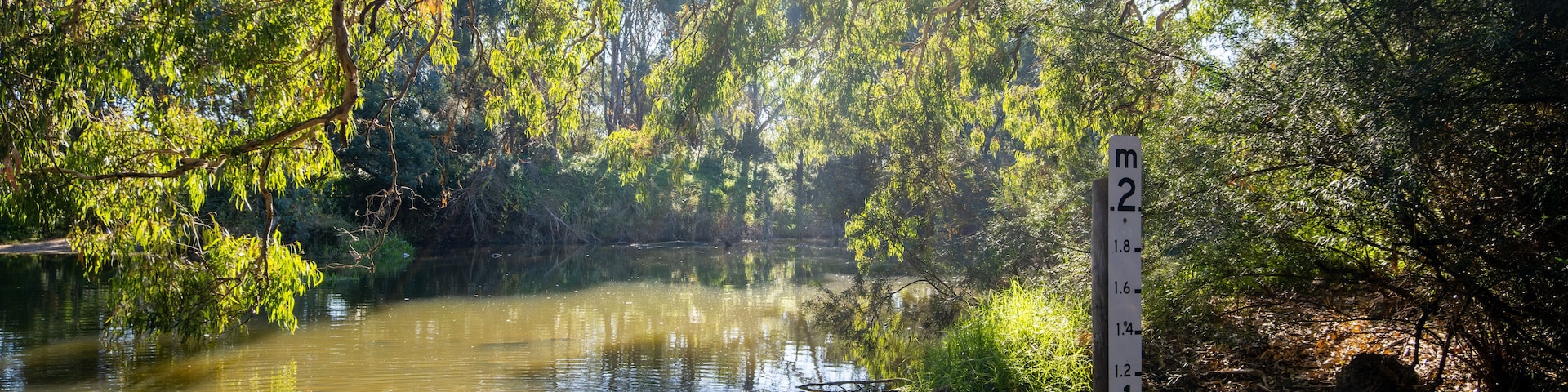 Un río con un indicador de nivel de agua, rodeado de árboles frondosos y luz solar filtrándose entre las ramas.