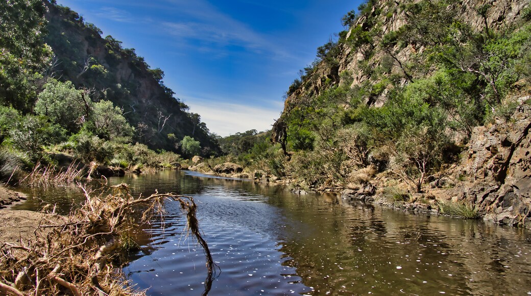 The Werribee Gorge, in Werribee Gorge State Park, not far from Melbourne near Bacchus Marsh, Victoria, Australia.