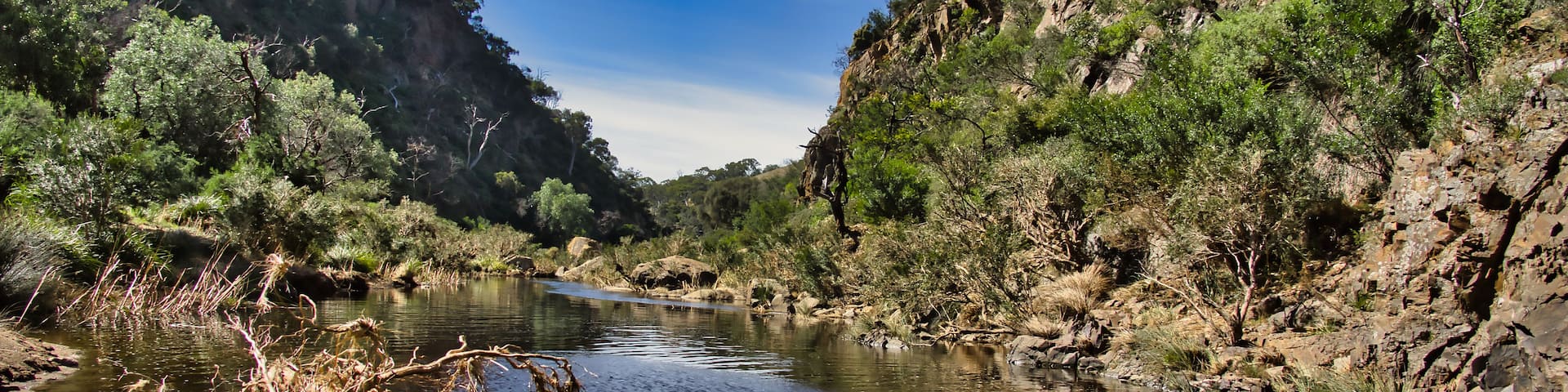 A river flowing through a canyon with rocky cliffs and sparse vegetation.