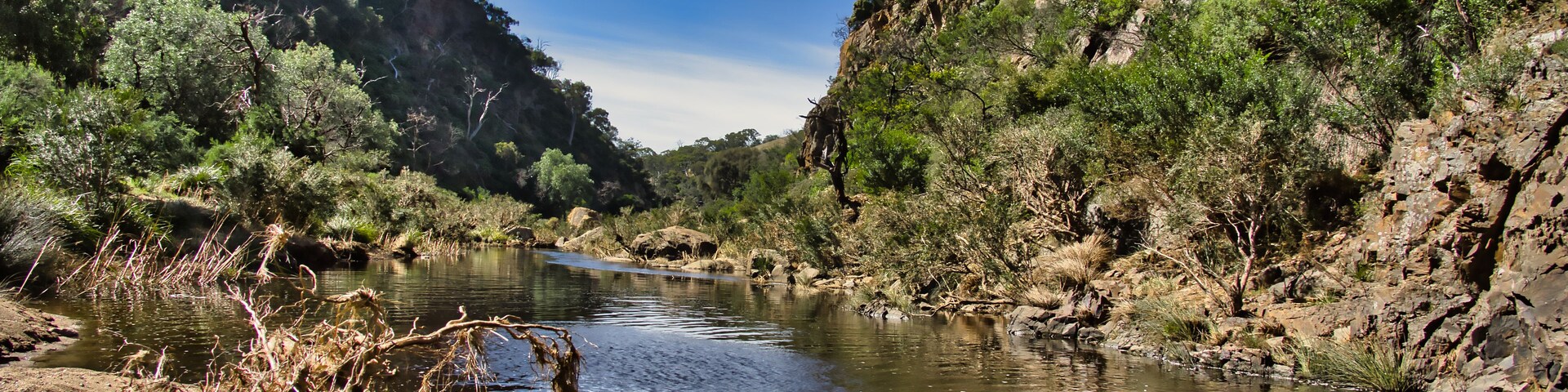 Un río serpentea por un cañón con acantilados rocosos y vegetación escasa.