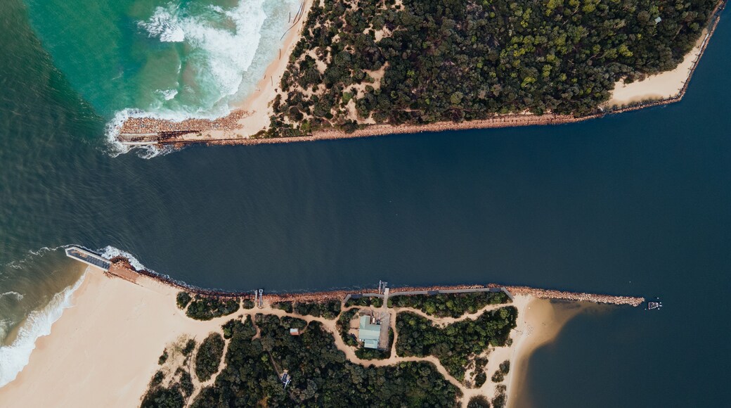 An aerial view of a coastal area with a beach, a forested peninsula, and a long pier extending into the water.