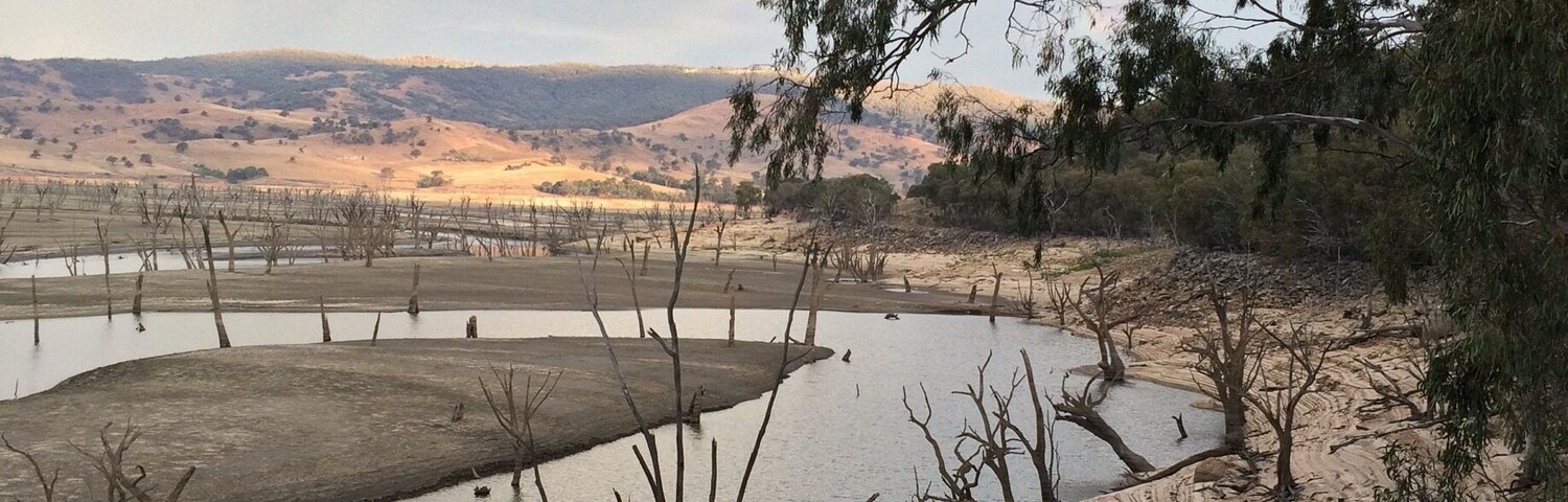 Yesterday on our #roadtrip, we stopped on the Talgarno Road near Granya to look at the vista of Lake Hume.  
I love the trees, colours and especially the parallel tidal lines. Lake Hume was formed by damming the Murray River and catches water from the Murray and Mitta Mitta River.  
#Victoria  #Australia  #Iloveasunburntcountry