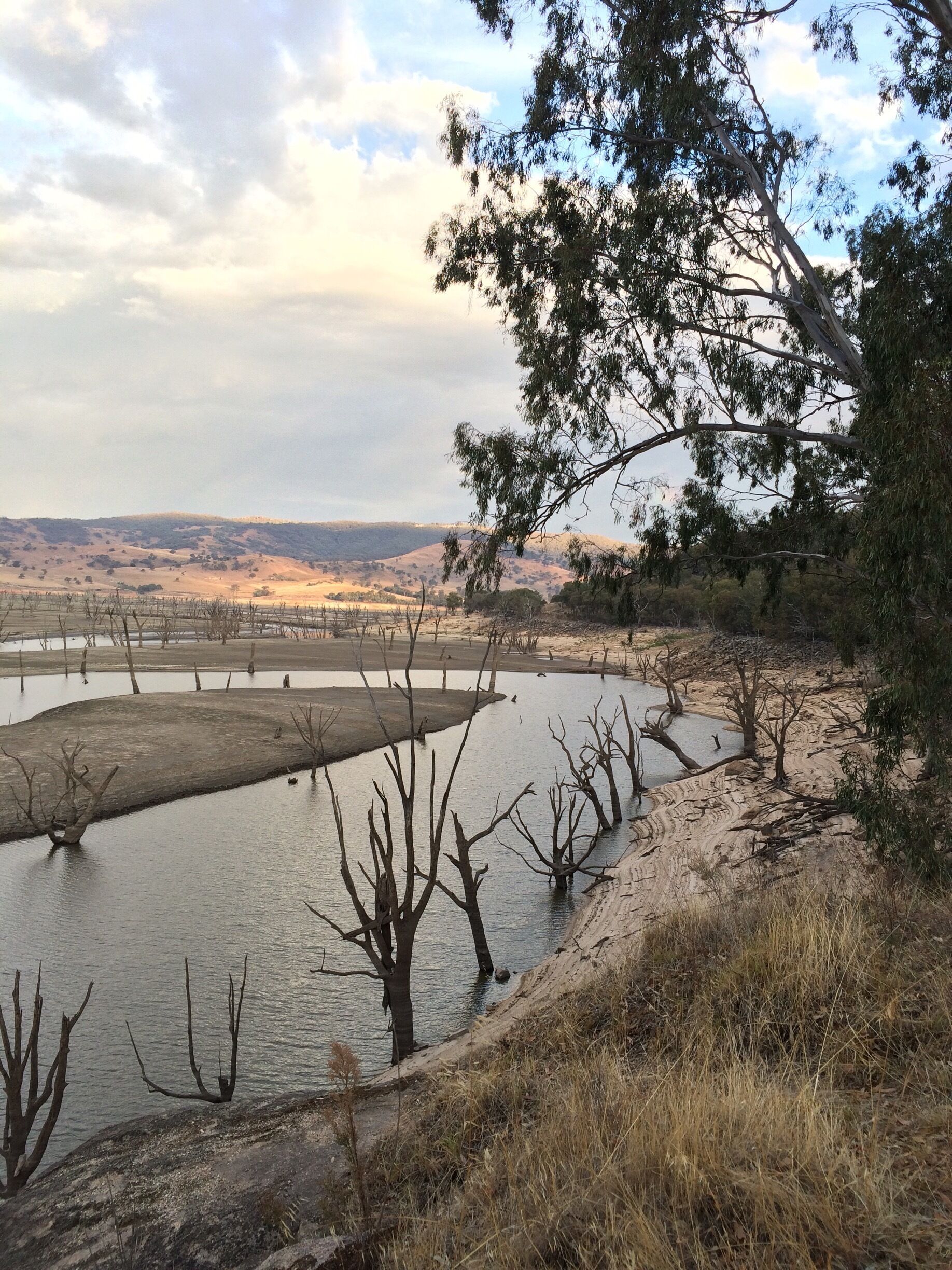 A dry riverbed with sparse vegetation and a distant hilly landscape under a cloudy sky.